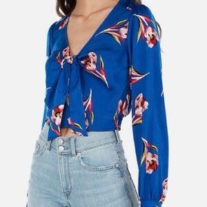 Express Blue Tie Front Long Sleeve Blouse